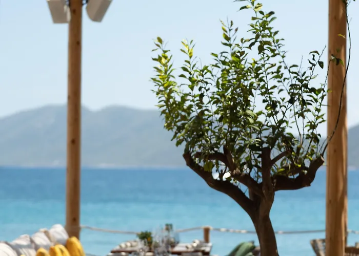Mett & Üdülőközpont Bodrum