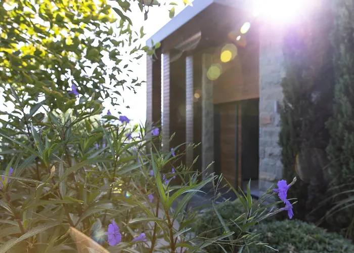 Mett & Θέρετρο 5*