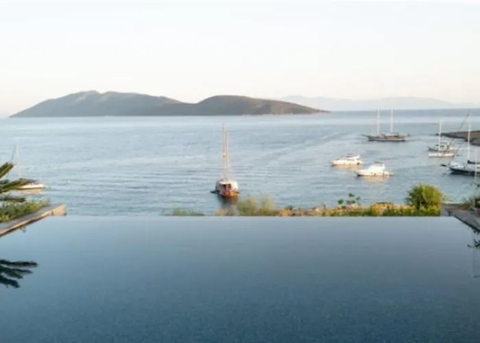 Mett & Bodrum