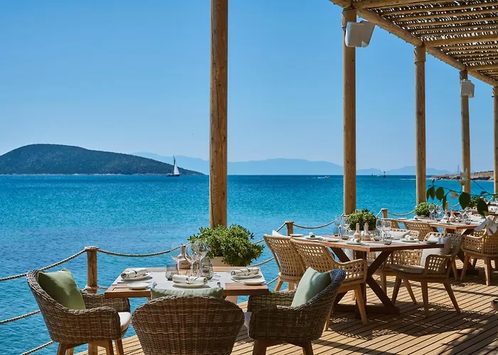 Mett & Bodrum