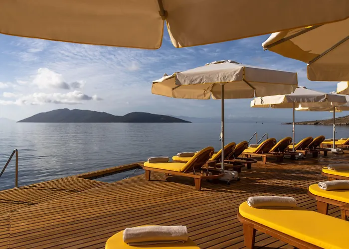 Mett & Bodrum